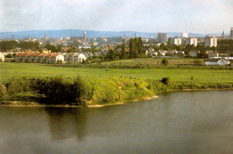 sadrak (11).jpg